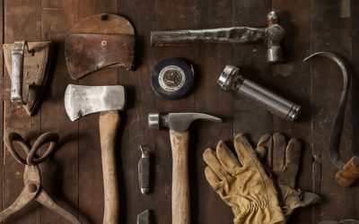 Hard and Soft Skills Training: Definitions, Differences, and Solutions