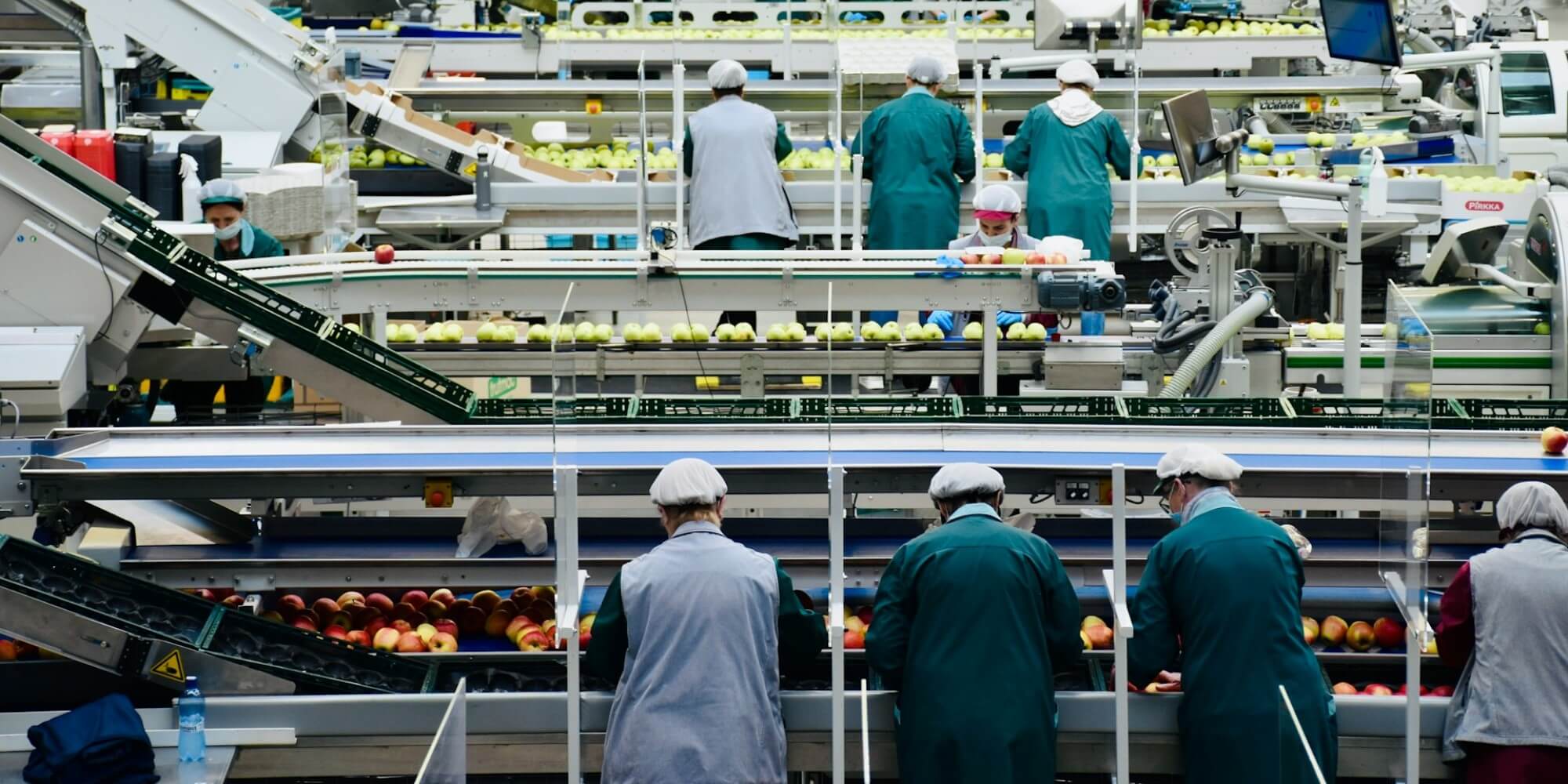 people processing apples coming through on a complex conveyor system